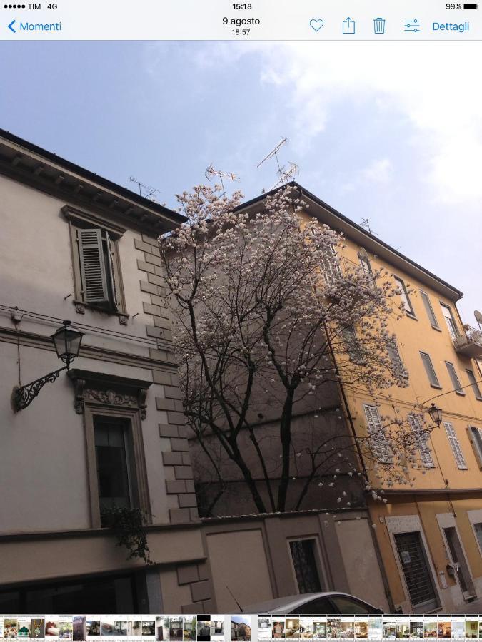 Magnolia Bed & Breakfast Casale Monferrato Luaran gambar