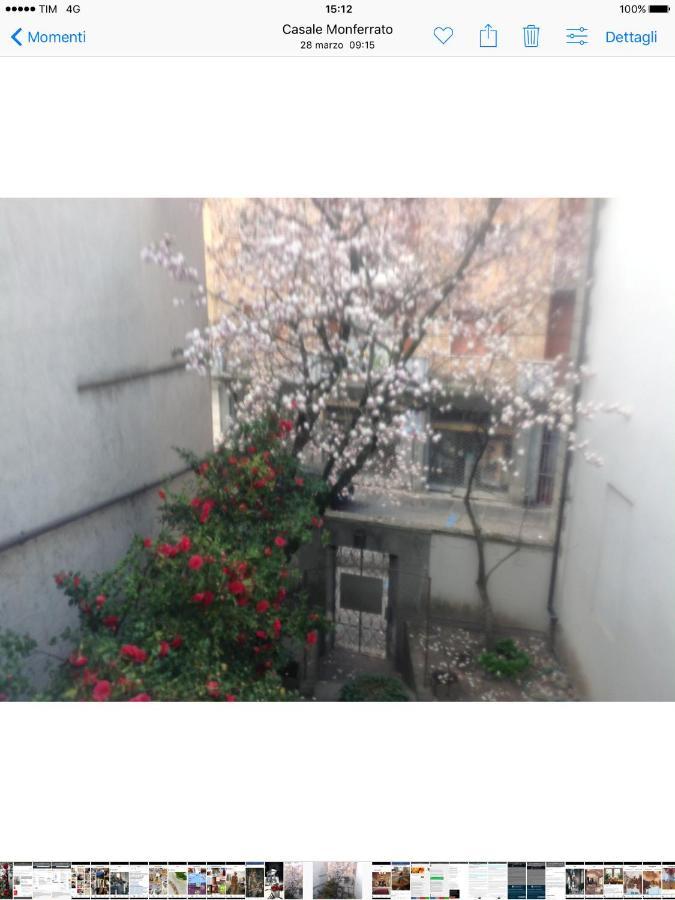 Magnolia Bed & Breakfast Casale Monferrato Luaran gambar